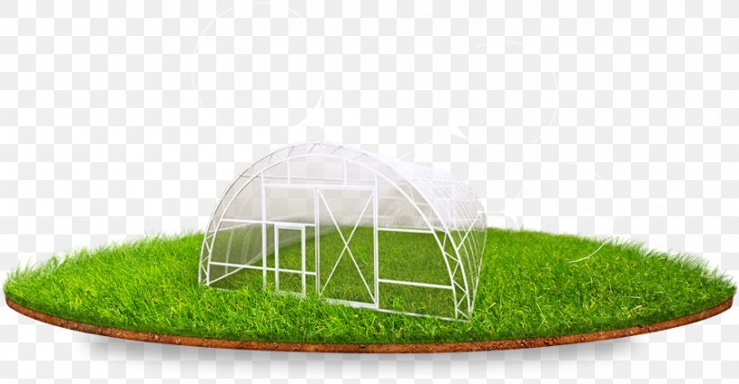 Lawn Product Design Grasses, PNG, 895x466px, Lawn, Grass, Grass Family, Grasses, Plant Download Free