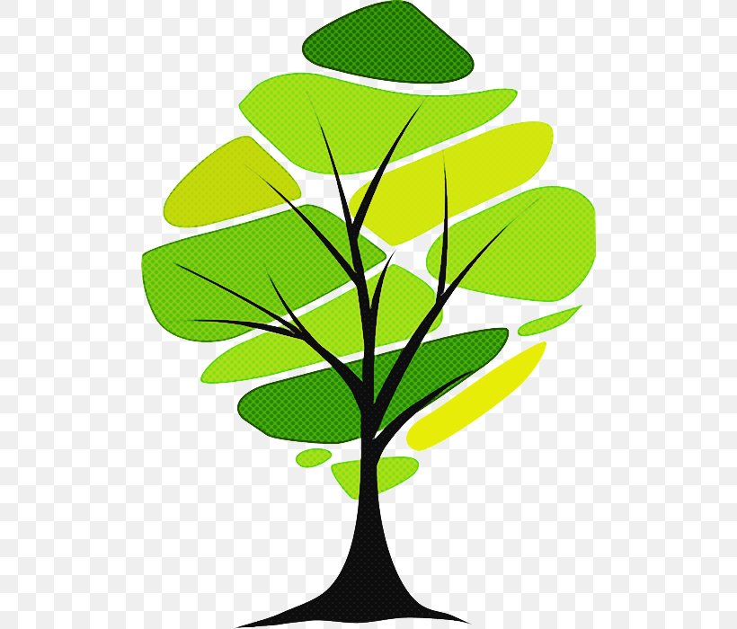 Leaf Green Plant Tree Plant Stem, PNG, 506x700px, Leaf, Flower, Green, Houseplant, Plant Download Free