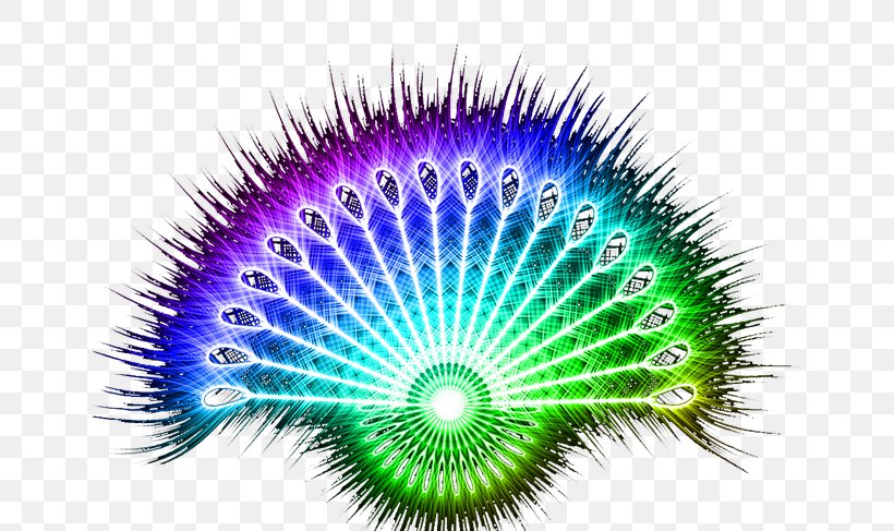 Feather Peafowl Divinity God, PNG, 650x487px, Feather, Close Up, Divinity, God, Hand Fan Download Free