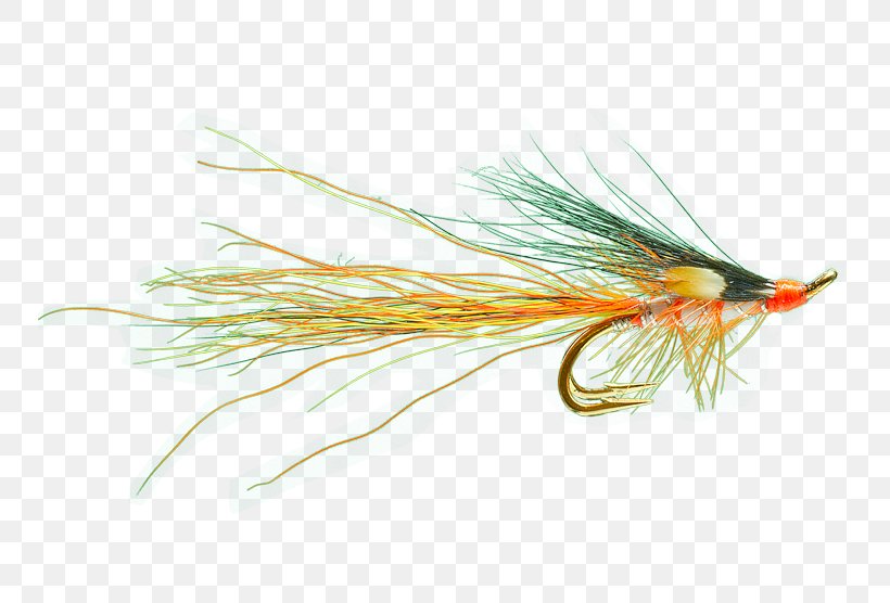 The Salmon Fly Spey Casting Insect Fly Fishing, PNG, 750x556px, Salmon Fly, Angling, Artificial Fly, Fish Hook, Fishing Download Free