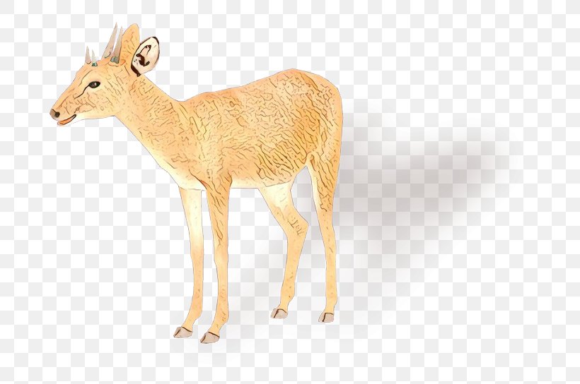 White-tailed Deer Moschus Antler Antelope, PNG, 700x544px, Whitetailed Deer, Animal, Animal Figure, Antelope, Antler Download Free