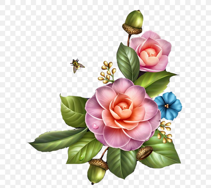 Flower Day Clip Art, PNG, 650x732px, Flower, Blog, Blume, Cut Flowers