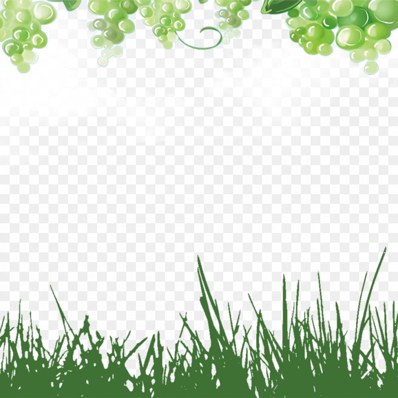 Green Grapes, PNG, 1000x1000px, Common Grape Vine, Flora, Food, Fruit, Grape Download Free