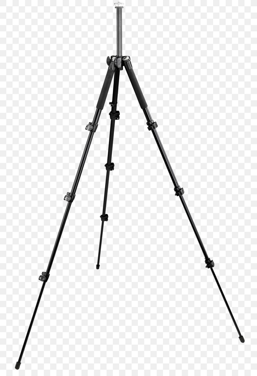 Vitec Group Manfrotto 293 Tripods & Monopods Tripods & Monopods, PNG, 766x1200px, Manfrotto, Ball Head, Camera, Digital Slr, Easel Download Free