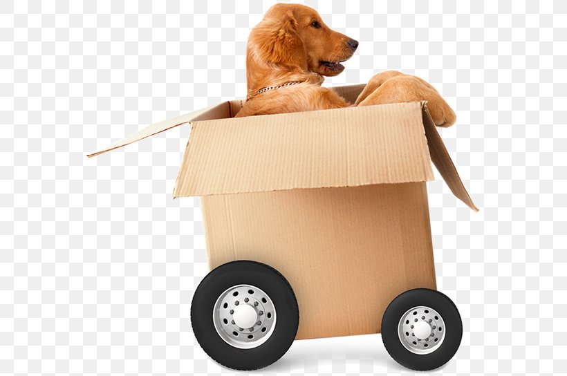Mover Brothers On The Move Relocation Self Storage Packaging And Labeling, PNG, 574x544px, Mover, Apartment, Carnivoran, Companion Dog, Dog Download Free