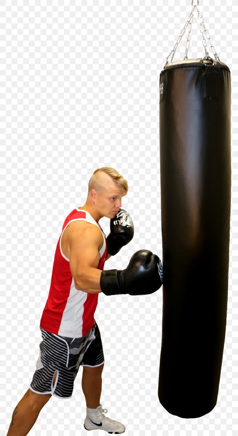 Punching & Training Bags Boxing Glove Shoulder, PNG, 775x1500px, Punching Training Bags, Arm, Bag, Boxing, Boxing Equipment Download Free