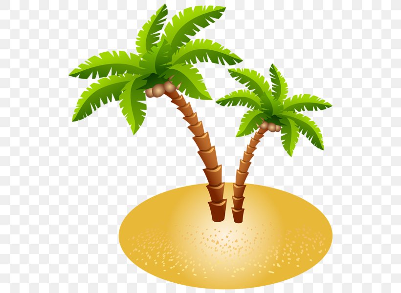 Clip Art, PNG, 554x600px, Island, Arecales, Bbcode, Coconut, Date Palm Download Free
