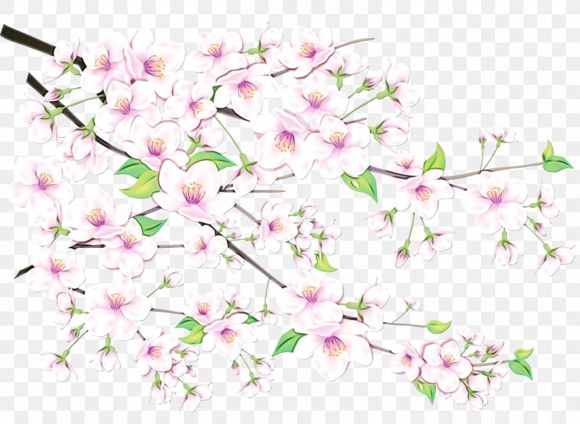 Floral Spring Flowers, PNG, 1600x1169px, Floral Design, Blossom, Branch, Catcats, Cherry Blossom Download Free