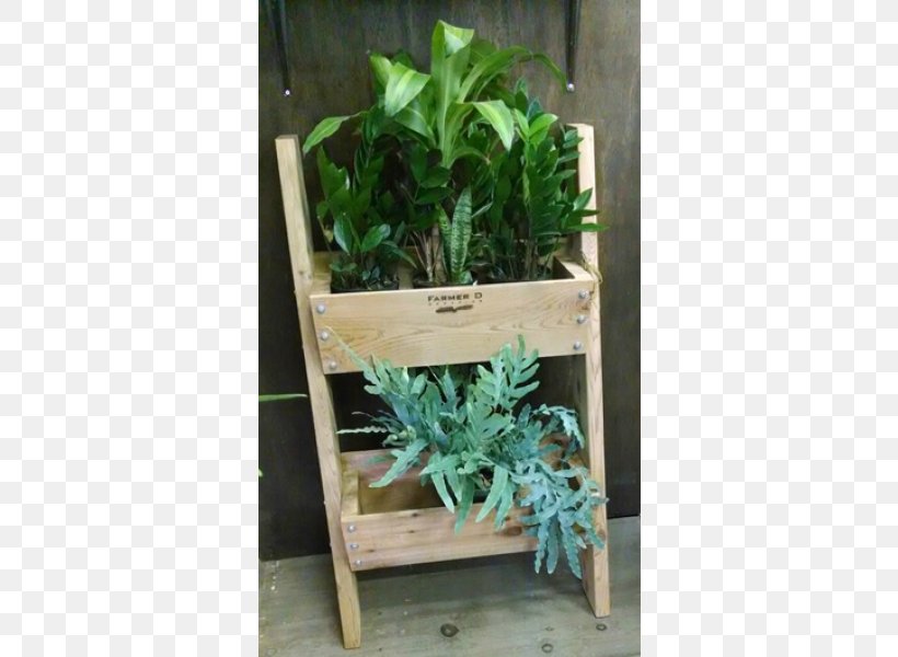 Flowerpot Herb Houseplant, PNG, 800x600px, Flowerpot, Flora, Furniture, Grass, Herb Download Free