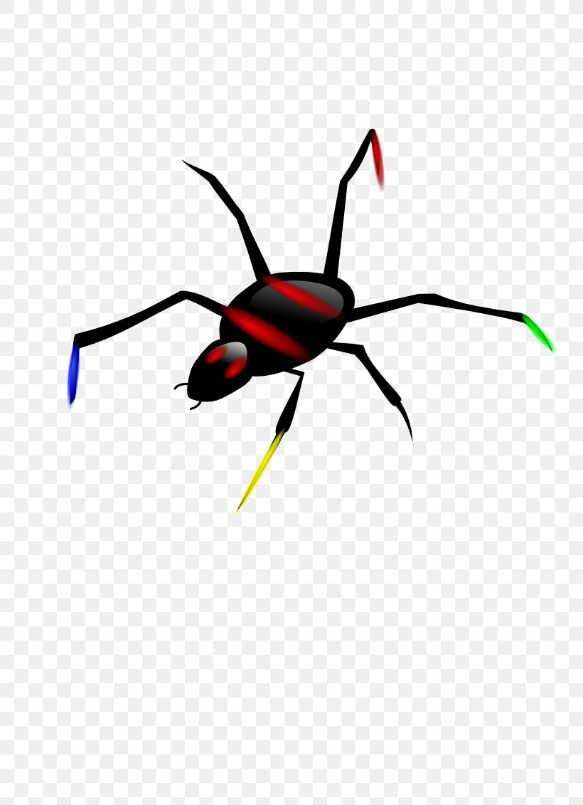Spider Clip Art, PNG, 800x1131px, Spider, Arthropod, Artwork, Beetle, Cartoon Download Free