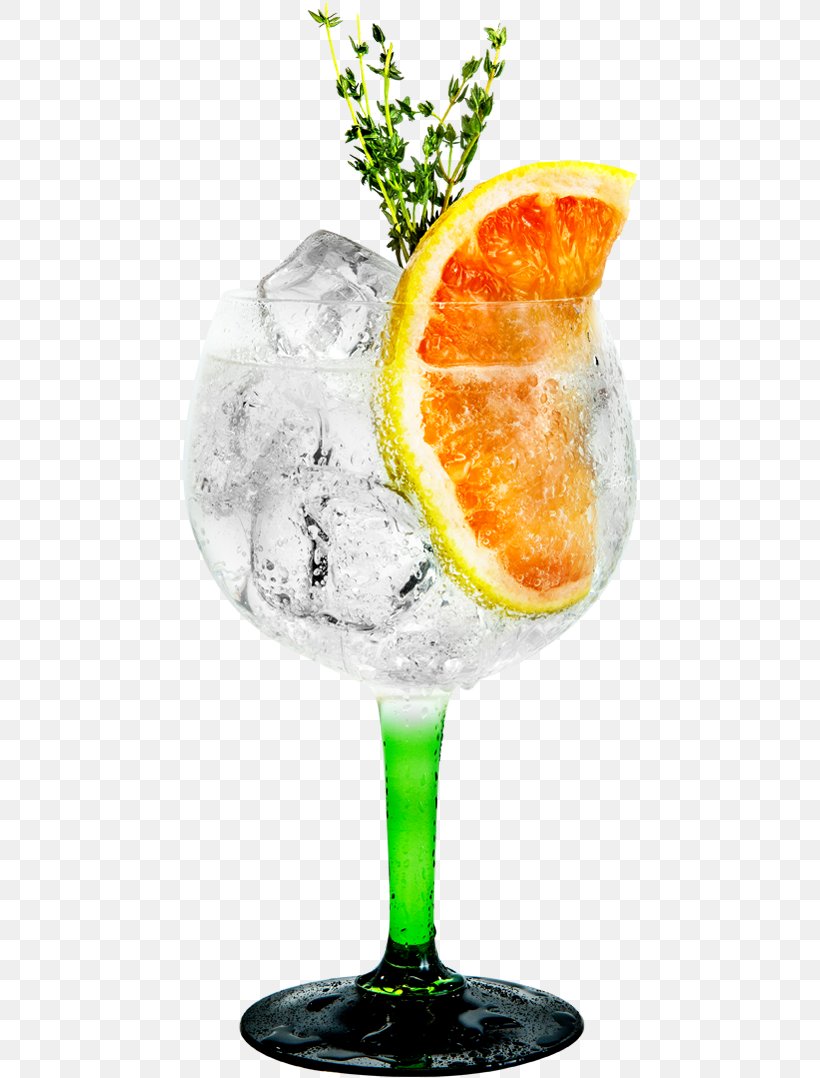 Cocktail Garnish Gin And Tonic Tanqueray Sea Breeze Martini, PNG, 493x1078px, Cocktail Garnish, Alcoholic Drink, Bombay Sapphire, Botanicals, Classic Cocktail Download Free