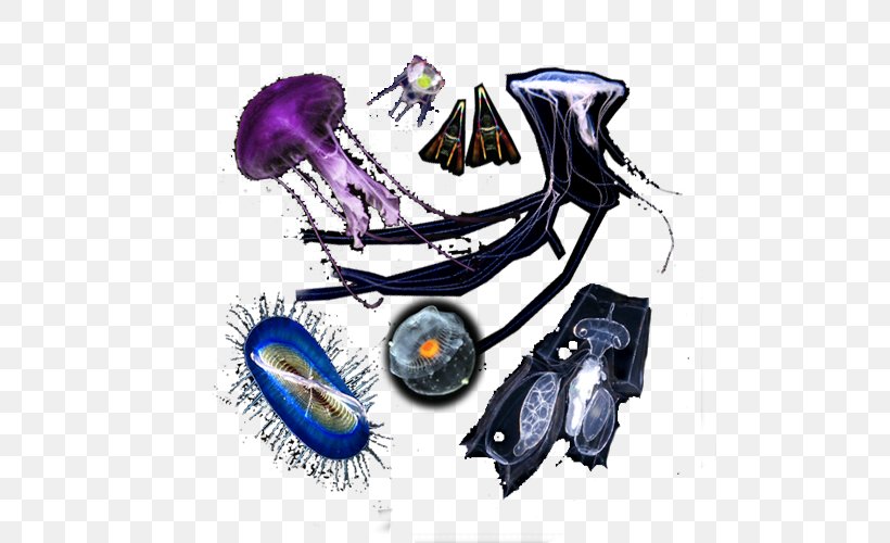 Plankton Organism Marine Biology Diatom, PNG, 500x500px, Plankton, Automotive Design, Cartoon, Diatom, Drawing Download Free