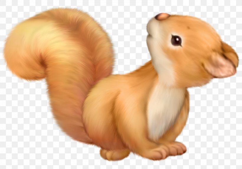 Squirrel Cuteness Clip Art, PNG, 1582x1106px, Squirrel, Acorn, Animal Figure, Animation, Cuteness Download Free