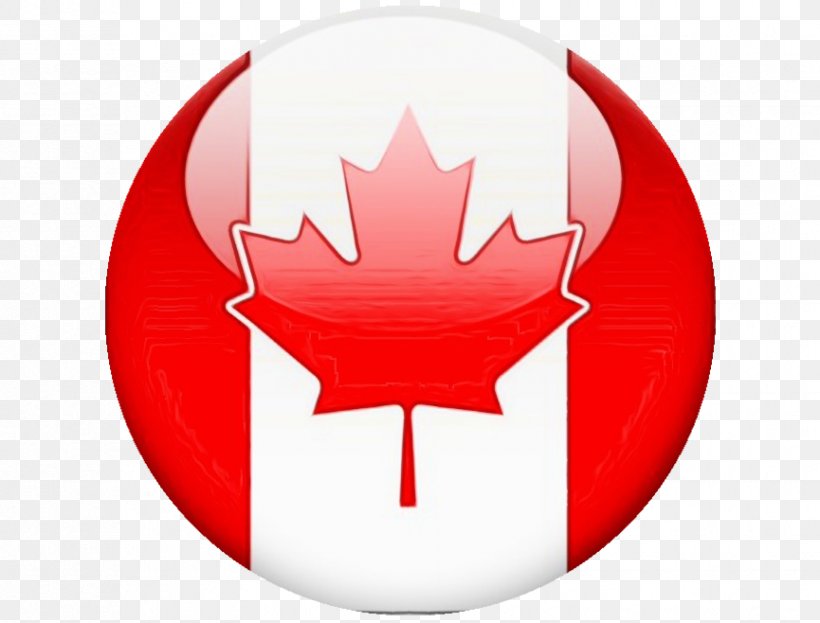 Flag Of Canada Image Maple Leaf Suitcase, PNG, 865x658px, Flag Of Canada, Canada, Drone Sales Ltd, Flag, Gesture Download Free