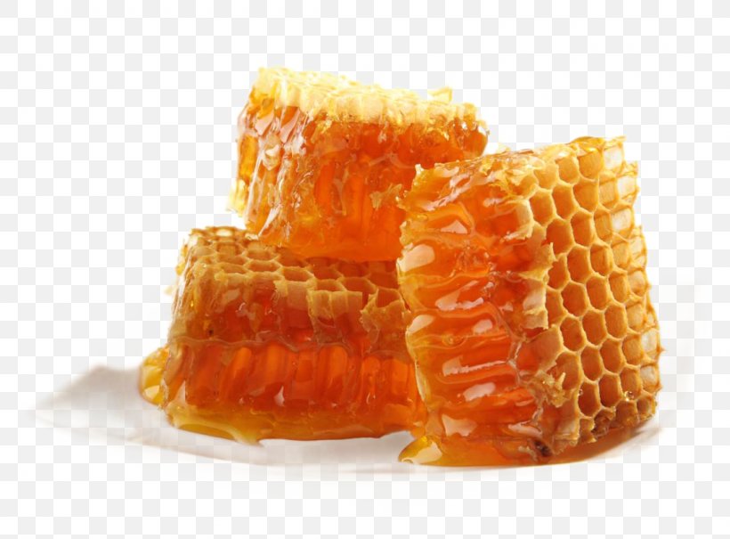 Honey Bee Maya Honey Bee Honeycomb, PNG, 1100x812px, Bee, Africanized Bee, Bee Pollen, Bee Sting, Beekeeping Download Free