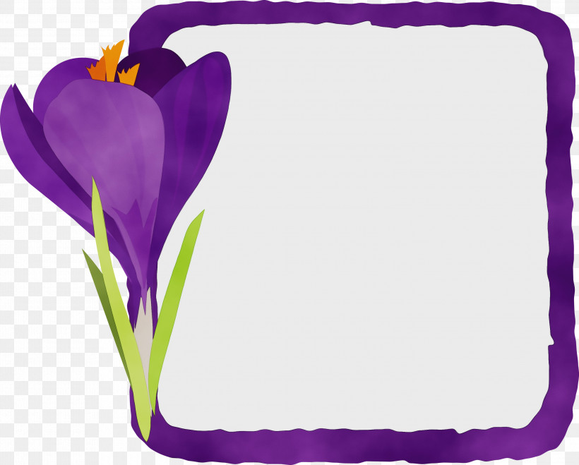 Lavender, PNG, 3000x2413px, Flower Frame, Biology, Crocus, Lavender, Matteo Viola Download Free