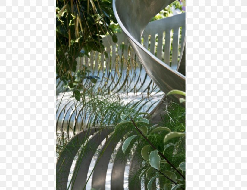 Leaf Fence Tree Houseplant, PNG, 970x747px, Leaf, Fence, Flora, Grass, Houseplant Download Free