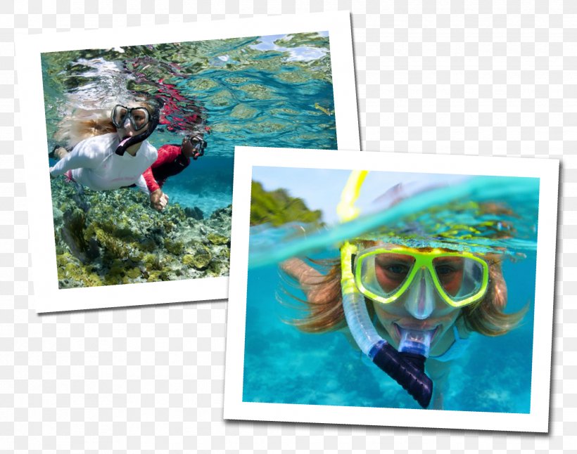 Underwater Diving Scuba Diving Snorkeling Free-diving, PNG, 2444x1926px, Underwater, Advertising, Apnea, Coral Reef, Dive Center Download Free