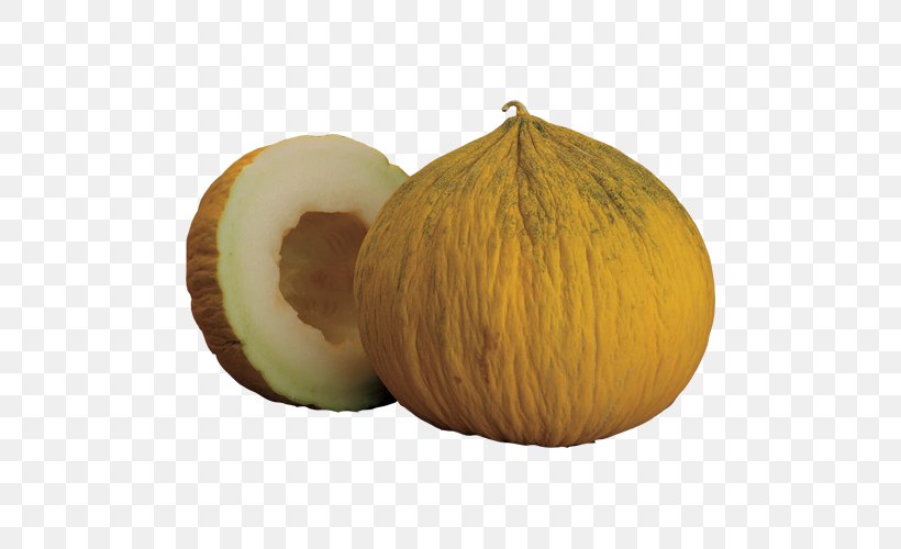 Watermelon Honeydew Cucurbita Cantaloupe, PNG, 500x500px, Melon, Calabaza, Cantaloupe, Cucumber, Cucumber Gourd And Melon Family Download Free