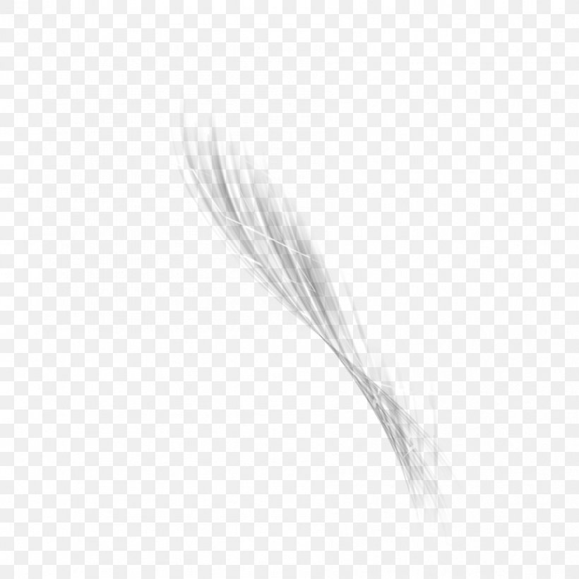 White Feather Black, PNG, 894x894px, Watercolor, Cartoon, Flower, Frame, Heart Download Free