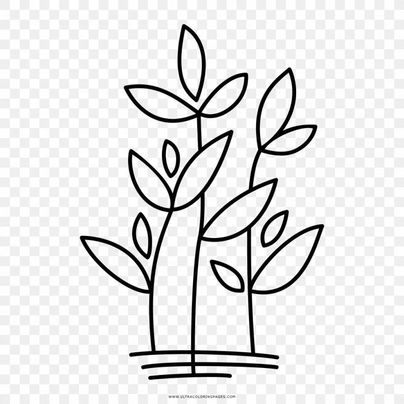 White Hill Presbyterian Church Plant Drawing Coloring Book Flora, PNG, 1000x1000px, Plant, Artwork, Basil, Black And White, Branch Download Free