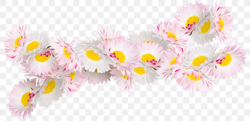 Flower Painting Floral Design Rose Ornament, PNG, 800x398px, Flower, Albom, Author, Common Daisy, Cueillette Download Free