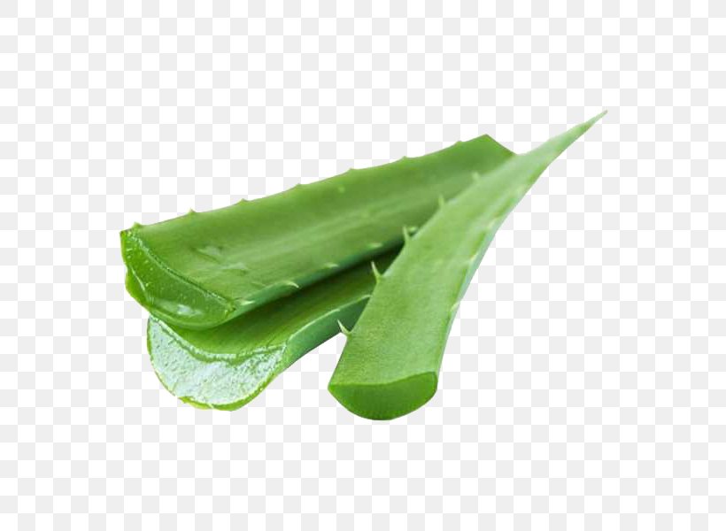 Green Leaf Snow Peas Plant Aloe, PNG, 600x600px, Green, Aloe, Food, Green Bean, Leaf Download Free