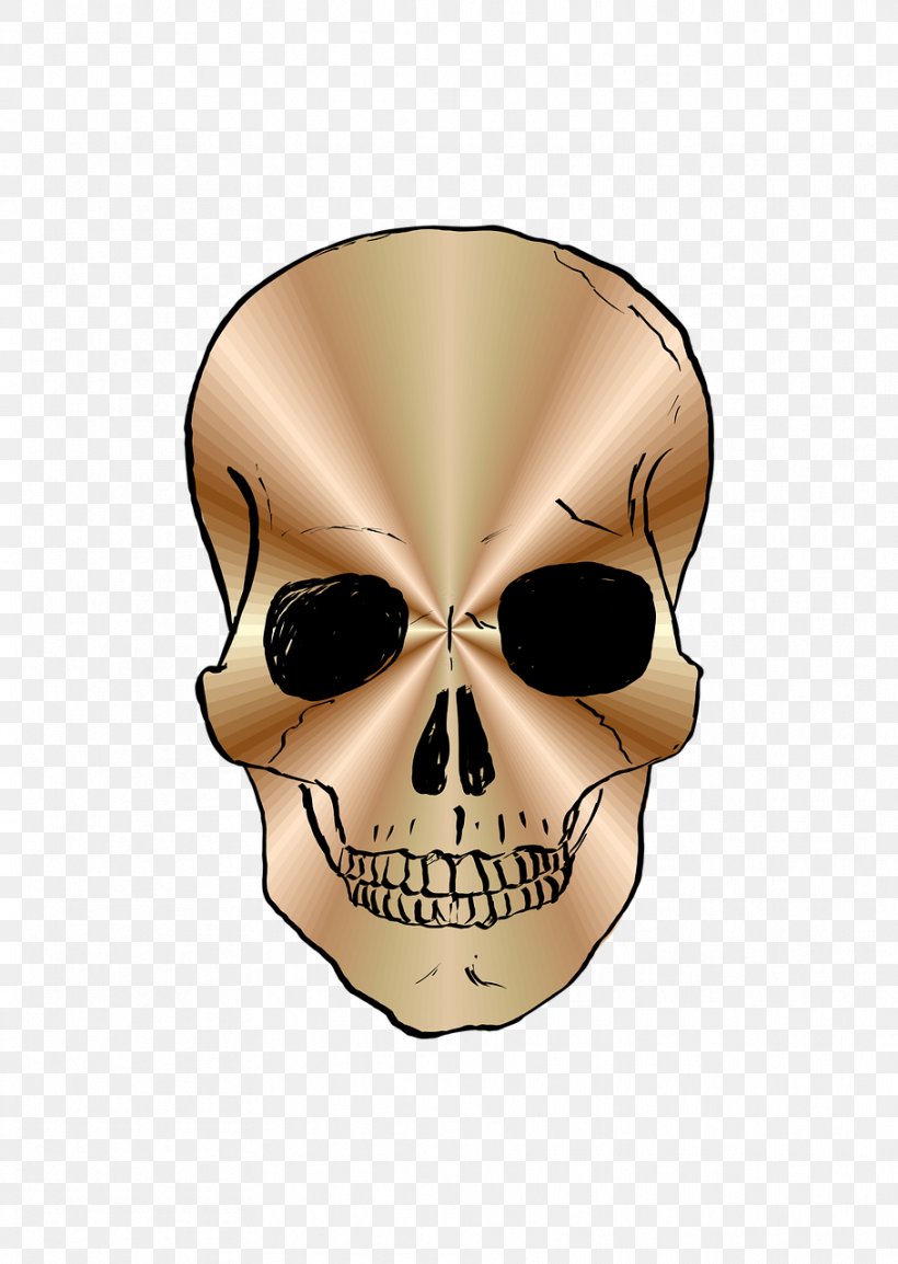 Skull, PNG, 909x1280px, Skull, Bone, Head, Jaw, Photography Download Free