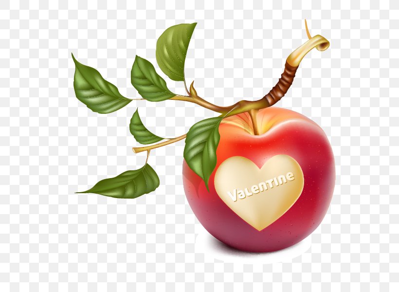 Apple Branch Clip Art, PNG, 600x600px, Apple, Branch, Diet Food, Food, Fruit Download Free