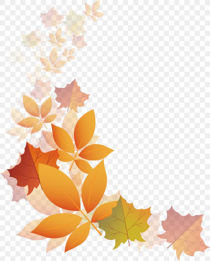 Autumn Transparency And Translucency, PNG, 2535x3148px, Autumn, Deciduous, Drawing, Floral Design, Leaf Download Free