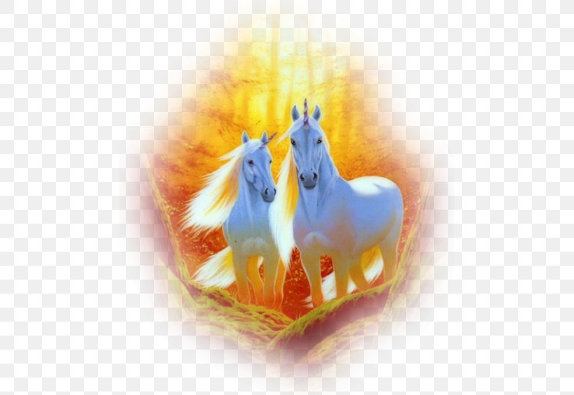 Horse Party Birthday Unicorn Parchment, PNG, 479x565px, Horse, Birthday, Fictional Character, Friendship, Giphy Download Free