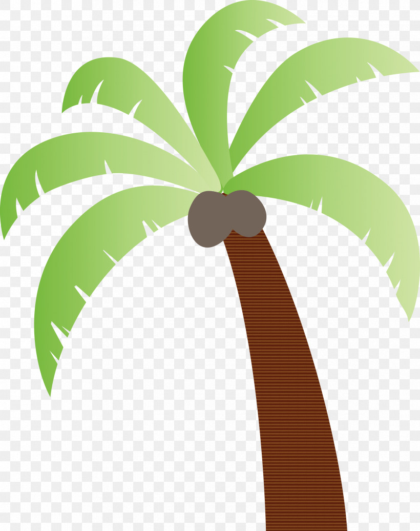 Coconut, PNG, 2373x3000px, Palm Tree, Beach, Biology, Cartoon Tree, Coconut Download Free