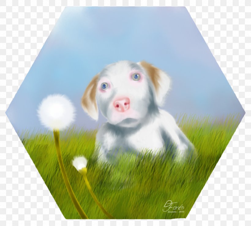 Dog Breed Puppy Love Companion Dog, PNG, 900x810px, Dog Breed, Breed, Companion Dog, Dog, Dog Like Mammal Download Free