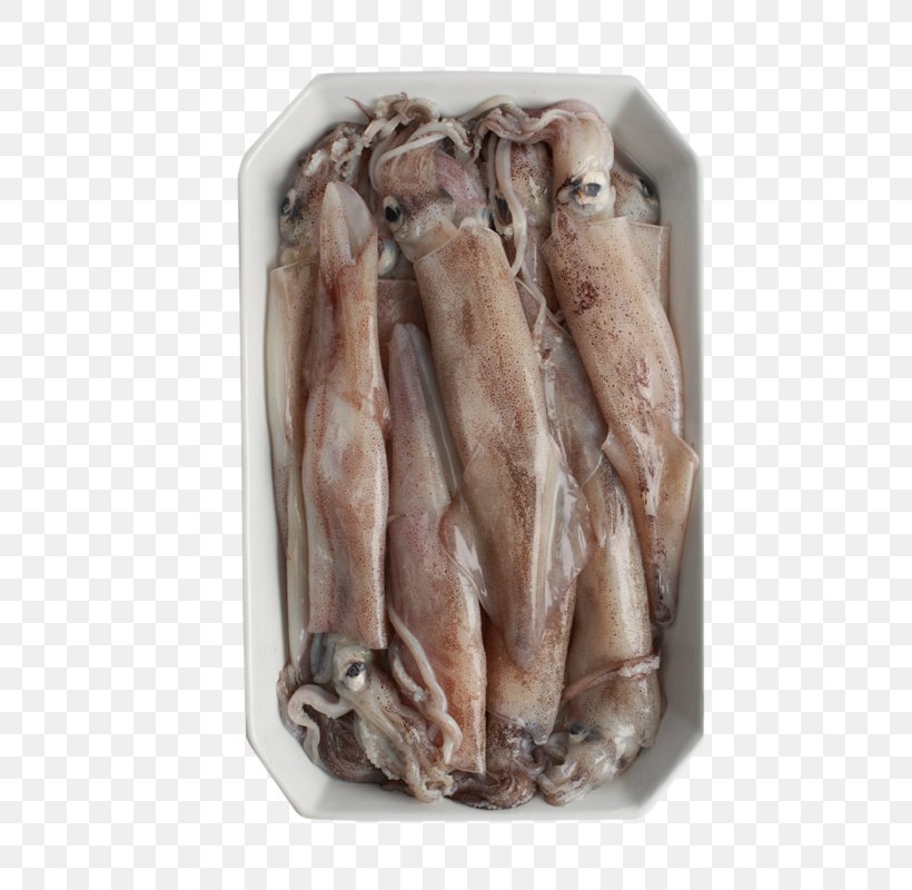 Squid Fur, PNG, 800x800px, Squid, Animal Fat, Animal Source Foods, Fur, Meat Download Free