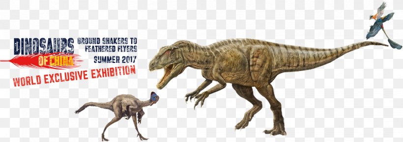 Velociraptor Dinosaur Dream Tyrannosaurus Brachiosaurus, PNG, 1214x429px, Velociraptor, Animal Figure, Brachiosaurus, Child, Dinosaur Download Free