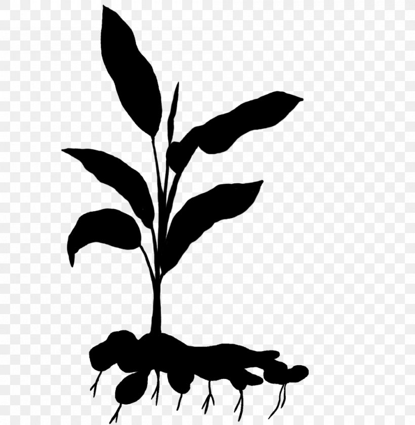 Clip Art Leaf Plant Stem Silhouette Line, PNG, 1000x1024px, Leaf, Art, Blackandwhite, Botany, Branch Download Free