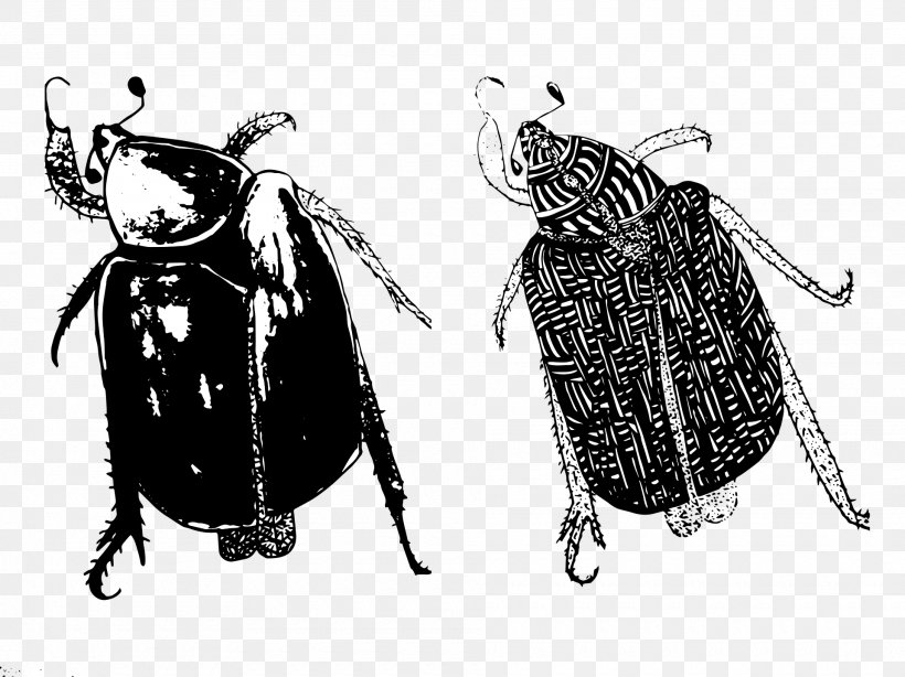 Beetle, PNG, 1920x1439px, Beetle, Arthropod, Black And White, Creative Commons, Drawing Download Free