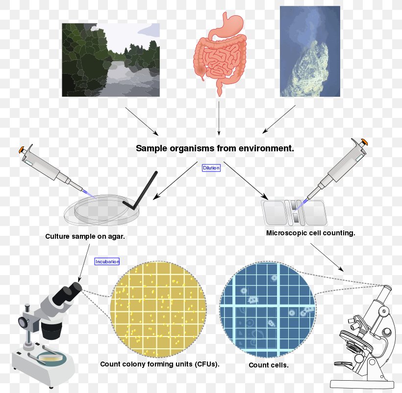 Microbial Ecology Microorganism Microbial Population Biology Biomass, PNG, 800x800px, Microbial Ecology, Bacteriology, Biofilm, Biology, Biomass Download Free