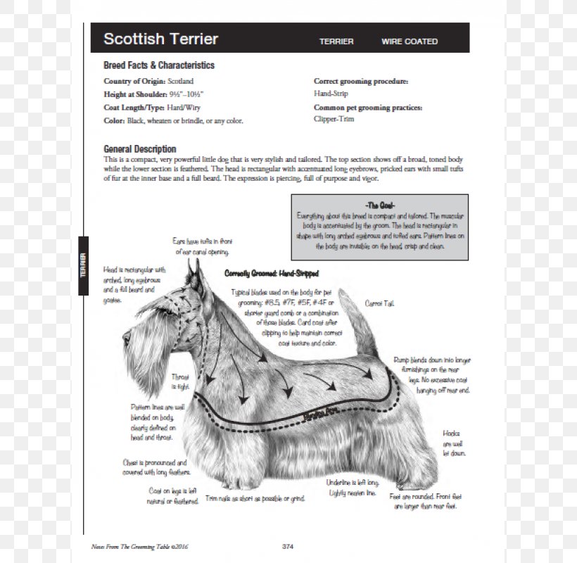 Scottish Terrier Notes From The Grooming Table Miniature Schnauzer Dog Grooming, PNG, 800x800px, Scottish Terrier, Black And White, Book, Breed, Carnivoran Download Free