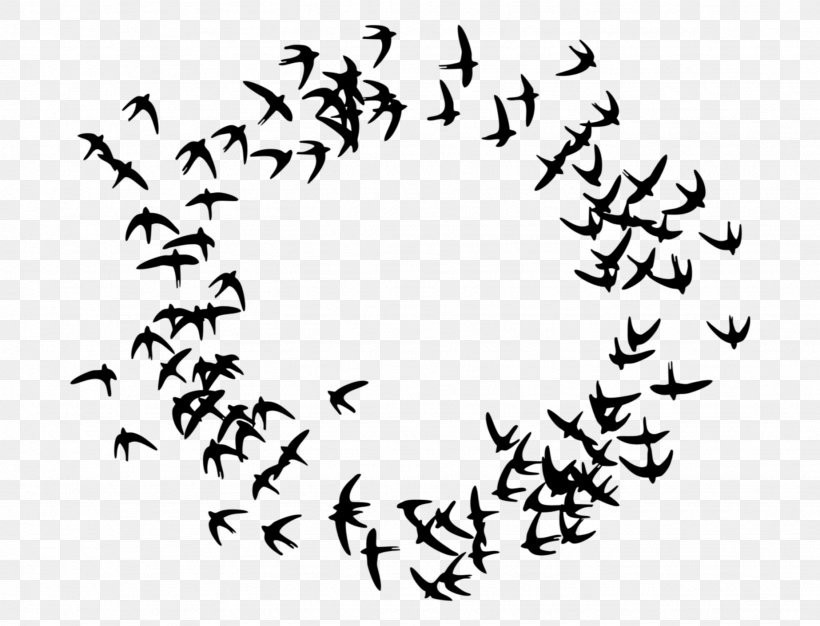 Swallow Bird, PNG, 1846x1411px, Swallow, Bird Migration, Flock, Fotolia, Mathematical Optimization Download Free