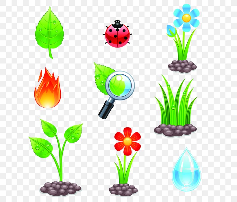 Design, PNG, 700x700px, Garden, Aquarium Decor, Art, Cdr, Cut Flowers Download Free