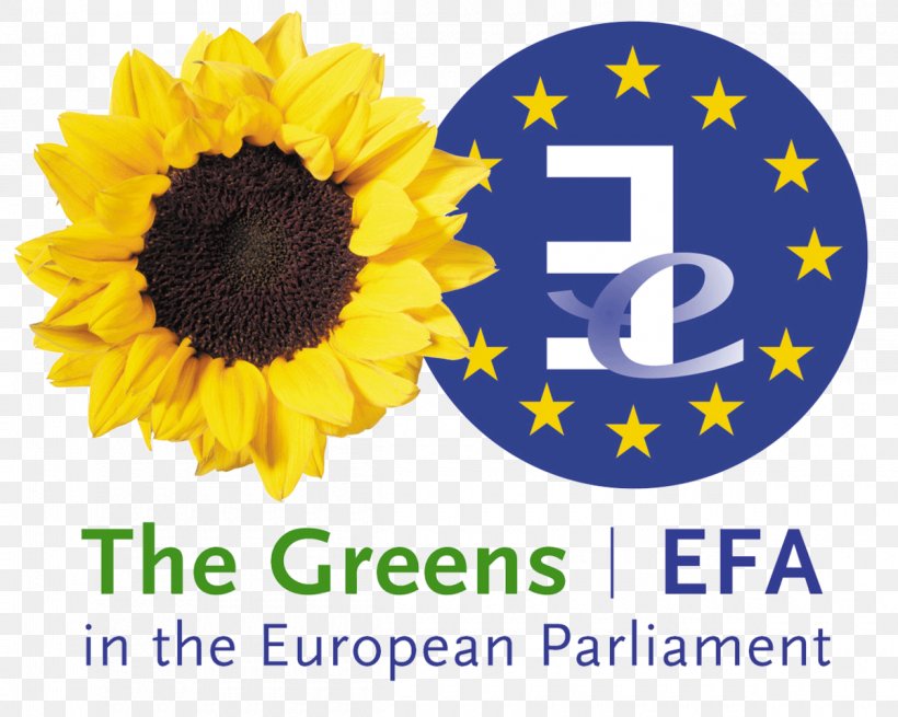 Greens–European Free Alliance European Union Member Of The European Parliament, PNG, 1200x959px, European Union, Brand, Cut Flowers, Daisy Family, European Free Alliance Download Free