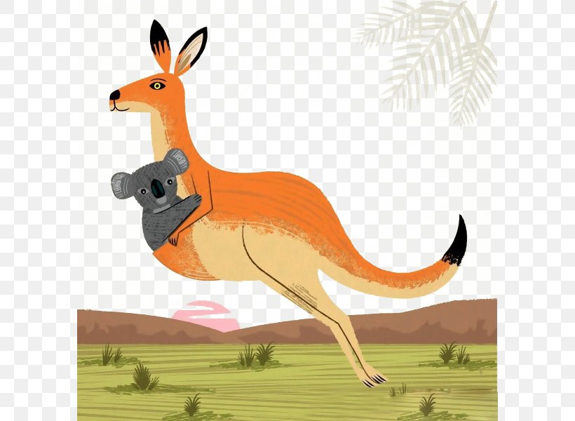 Koala Australia Kangaroo Wombat Illustration, PNG, 600x600px, Koala, Animal, Australia, Cartoon, Drawing Download Free