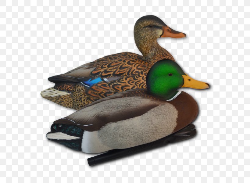 Mallard Duck Decoy Goose Waterfowl Hunting, PNG, 600x600px, Mallard, Anseriformes, Beak, Bird, Canard Download Free