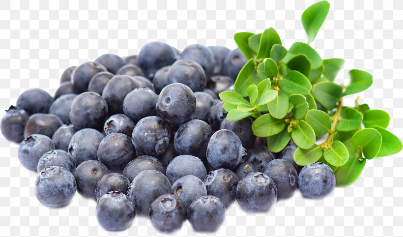 Blueberry Extract Bilberry Açaí Palm Muscle, PNG, 2634x1551px, Blueberry, Aristotelia Chilensis, Berry, Bilberry, Blueberry Tea Download Free