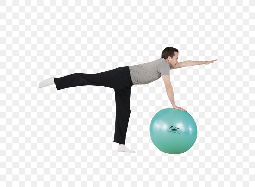 Exercise Balls Pilates Physical Fitness Medicine Balls, PNG, 600x600px, Exercise, Abdomen, Arm, Balance, Exercise Balls Download Free