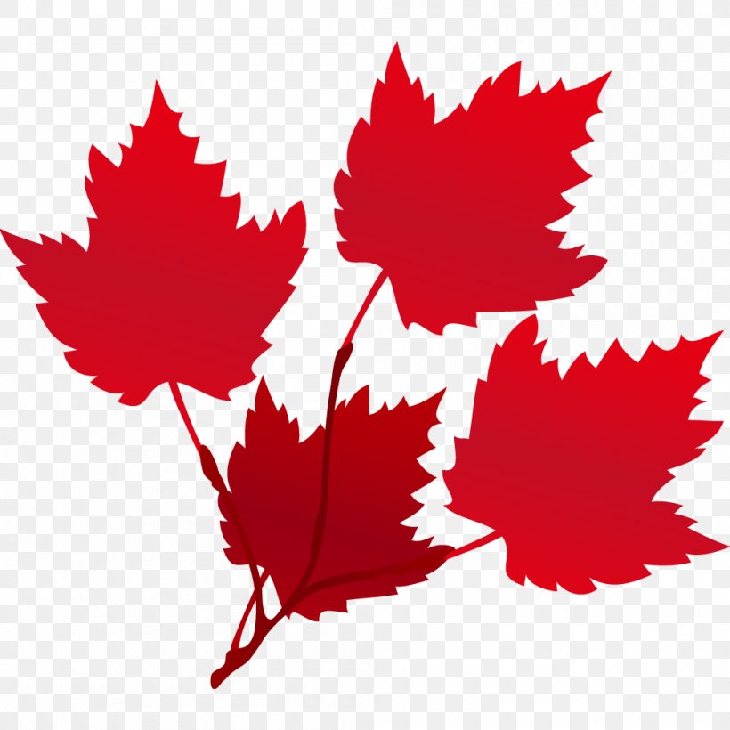 Maple Leaf Red Euclidean Vector Raster Graphics, PNG, 1000x1000px, Leaf, Autumn, Autumn Leaf Color, Flowering Plant, Maple Leaf Download Free