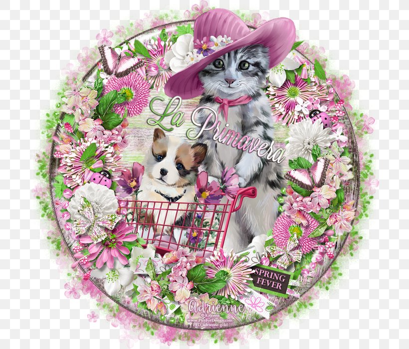 Whiskers Cat Dog Spring Fever, PNG, 700x700px, Whiskers, Cat, Cat Like Mammal, Catdog, Cayenne Download Free