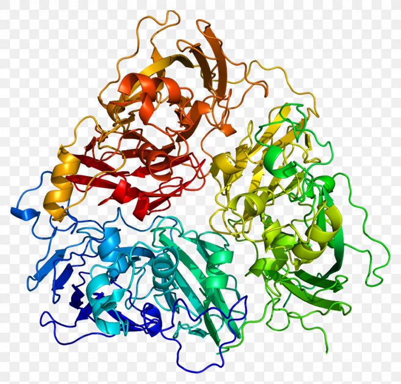 Ceruloplasmin ATP7A Wilson Disease Protein Human Iron Metabolism, PNG, 961x920px, Wilson Disease Protein, Art, Artwork, Body Jewelry, Copper Download Free