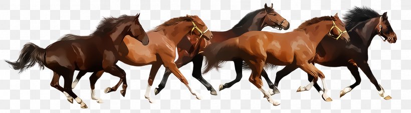 Gallop American Miniature Horse Foal Definition, PNG, 1783x494px, Gallop, American Miniature Horse, Animal Figure, Bridle, Collection Download Free